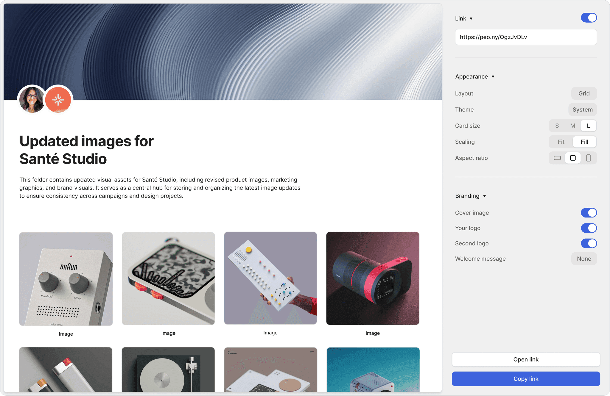 Multi-Link File Sharing Interface